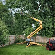 Best Lawn Watering Services  in Fillmore, CA