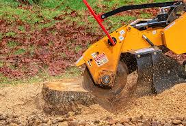 Best Hazardous Tree Removal  in Fillmore, CA